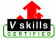 More about Vskills Certification